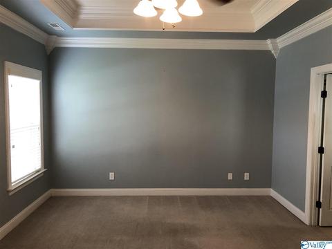 365 Mill Rd, Madison, AL 35758 photo 18
