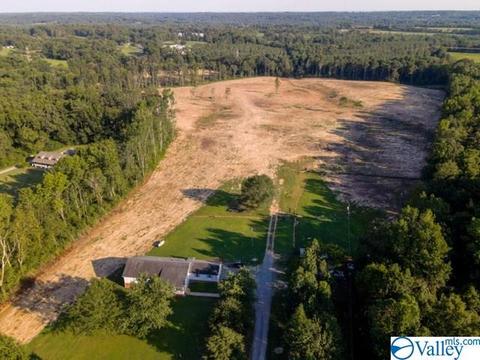 4185 Ruth Rd, Arab, AL 35016 photo 45