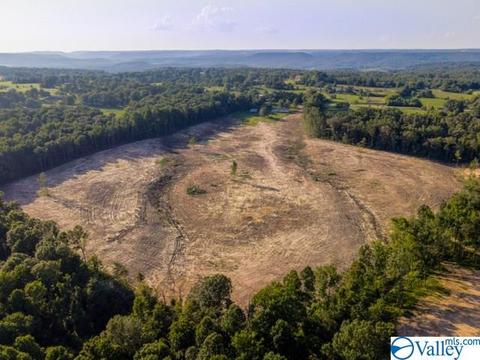 4185 Ruth Rd, Arab, AL 35016 photo 44