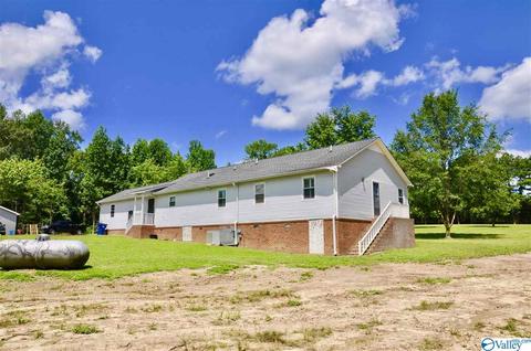 4185 Ruth Rd, Arab, AL 35016 photo 35