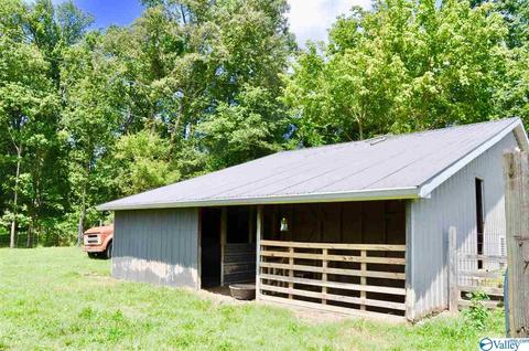 4185 Ruth Rd, Arab, AL 35016 photo 38