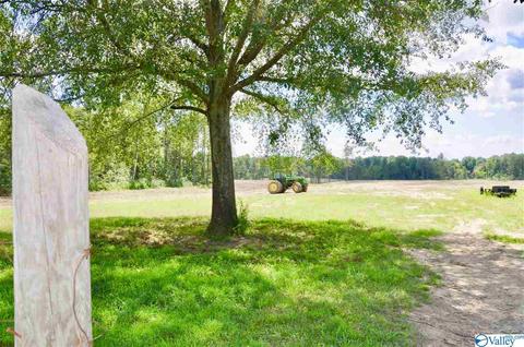 4185 Ruth Rd, Arab, AL 35016 photo 28