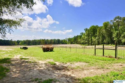 4185 Ruth Rd, Arab, AL 35016 photo 29