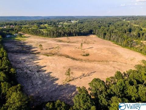 4185 Ruth Rd, Arab, AL 35016 photo 41