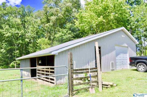 4185 Ruth Rd, Arab, AL 35016 photo 39