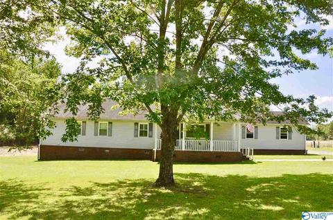 4185 Ruth Rd, Arab, AL 35016 photo 30