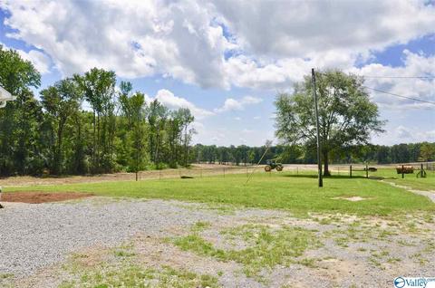 4185 Ruth Rd, Arab, AL 35016 photo 27