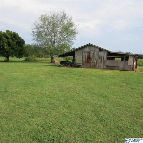 1829 County Road 474, Section, AL 35771 photo 5
