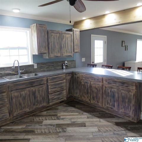 1829 County Road 474, Section, AL 35771 photo 13