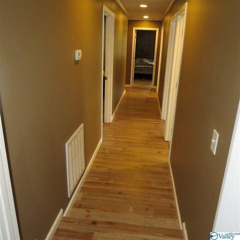 1829 County Road 474, Section, AL 35771 photo 16