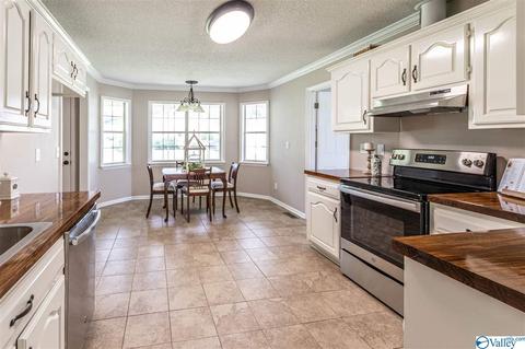 175 Kassidy Dr, Arab, AL 35016 photo 11