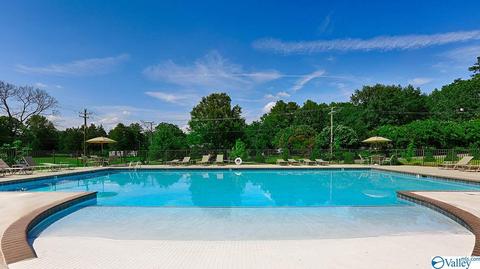8717 Segers Trail Loop, Madison, AL 35756 photo 7