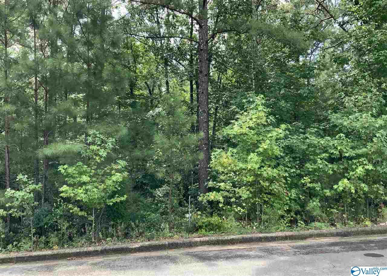 Lot 33 Cade Cir