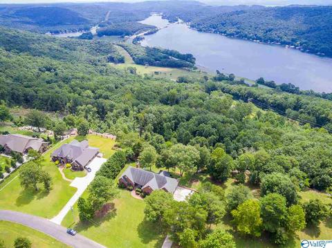 339 Edmonds Dr, Grant, AL 35747 photo 10