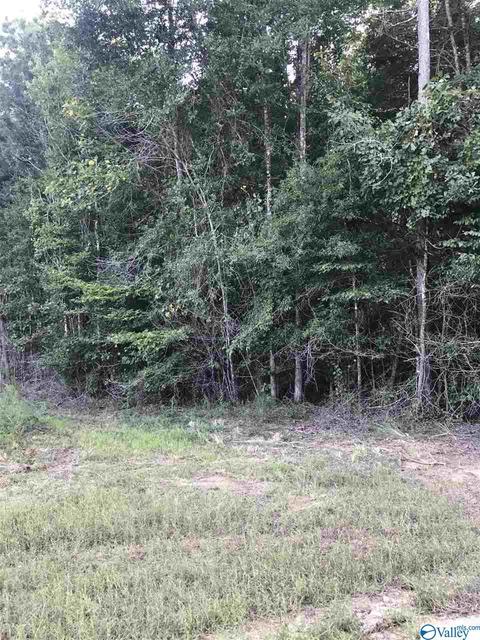 lot30 County Road 279, Moulton, AL 35650