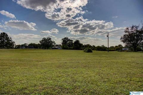 211 Babe Wright Rd, Grant, AL 35747 photo 24