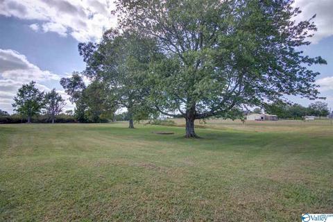 211 Babe Wright Rd, Grant, AL 35747 photo 5