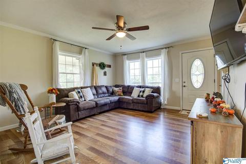 211 Babe Wright Rd, Grant, AL 35747 photo 2