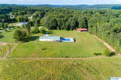 89 County Road 509, Trinity, AL 35673 photo 3