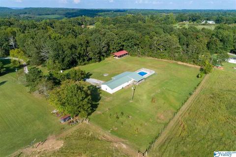 89 County Road 509, Trinity, AL 35673 photo 4