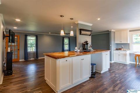 89 County Road 509, Trinity, AL 35673 photo 21