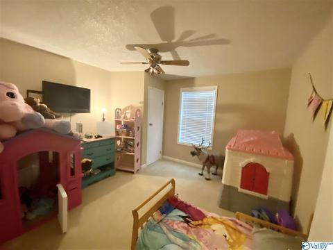 48 County Road 300, Trinity, AL 35673 photo 9