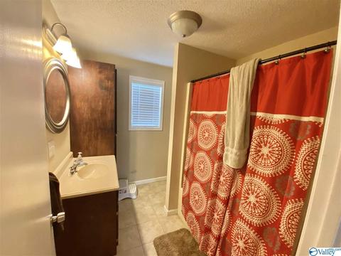 48 County Road 300, Trinity, AL 35673 photo 6