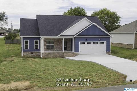 35 Lashae Loop, Grant, AL 35747 photo 1