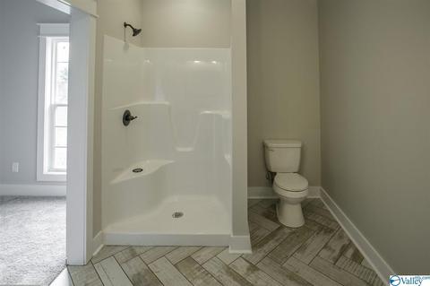 35 Lashae Loop, Grant, AL 35747 photo 28