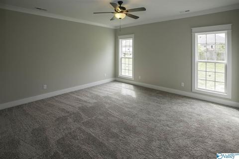 35 Lashae Loop, Grant, AL 35747 photo 23