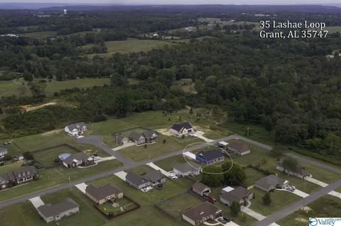 35 Lashae Loop, Grant, AL 35747 photo 42