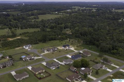 35 Lashae Loop, Grant, AL 35747 photo 41
