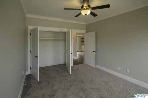 35 Lashae Loop, Grant, AL 35747 photo 34