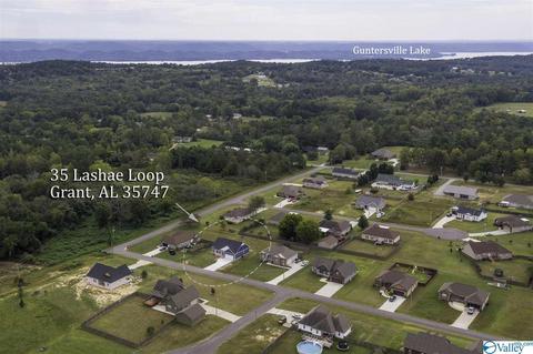 35 Lashae Loop, Grant, AL 35747 photo 40