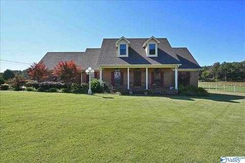 1248 Old Trinity Rd, Trinity, AL 35673 photo 1