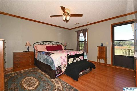 1248 Old Trinity Rd, Trinity, AL 35673 photo 4