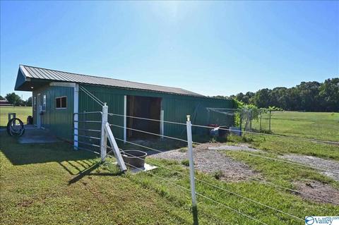 1248 Old Trinity Rd, Trinity, AL 35673 photo 16