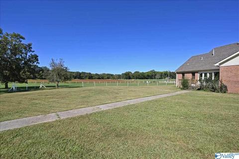 1248 Old Trinity Rd, Trinity, AL 35673 photo 20