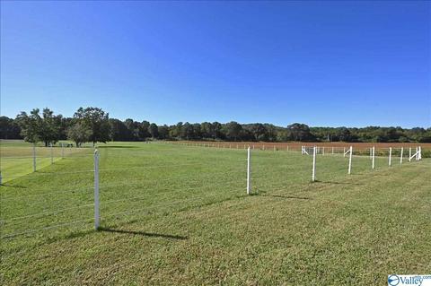 1248 Old Trinity Rd, Trinity, AL 35673 photo 12