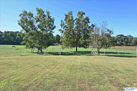 1248 Old Trinity Rd, Trinity, AL 35673 photo 14
