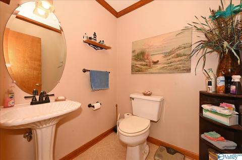 1248 Old Trinity Rd, Trinity, AL 35673 photo 9