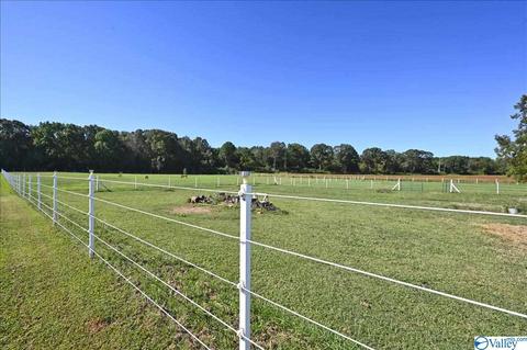 1248 Old Trinity Rd, Trinity, AL 35673 photo 15
