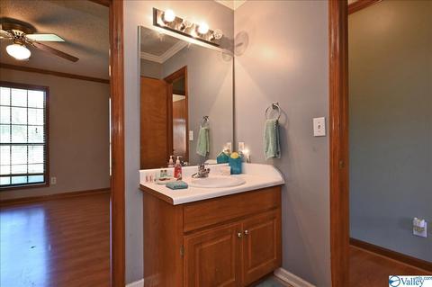 1248 Old Trinity Rd, Trinity, AL 35673 photo 11