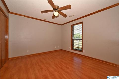 1248 Old Trinity Rd, Trinity, AL 35673 photo 10