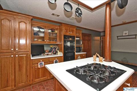 1248 Old Trinity Rd, Trinity, AL 35673 photo 3