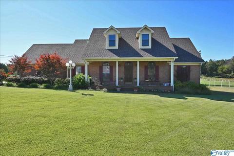 1248 Old Trinity Rd, Trinity, AL 35673 photo 23