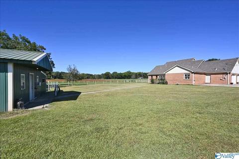 1248 Old Trinity Rd, Trinity, AL 35673 photo 22
