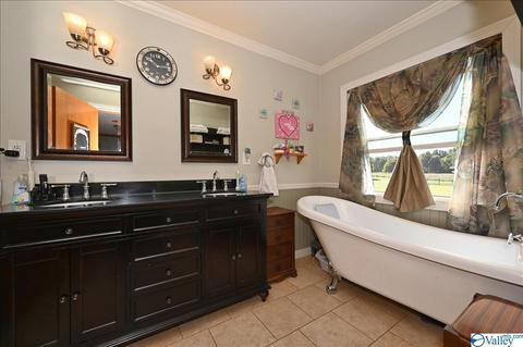 1248 Old Trinity Rd, Trinity, AL 35673 photo 6