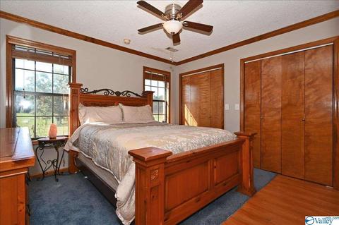 1248 Old Trinity Rd, Trinity, AL 35673 photo 8