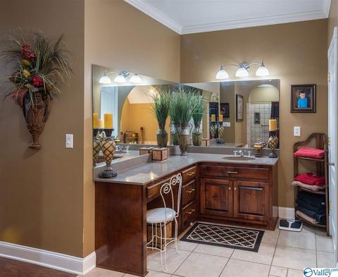 3200 County Road 217, Trinity, AL 35673 photo 31